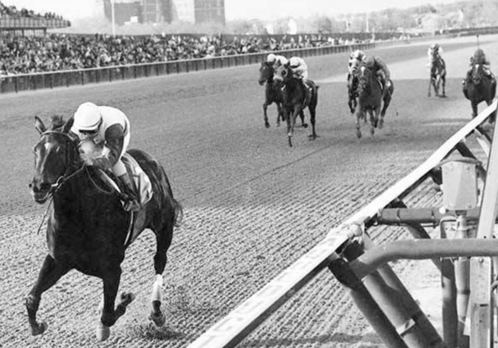“All 1’s” Ruffian, The Real Story Past The Wire