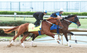 Gun Runner working at Churchill Downs