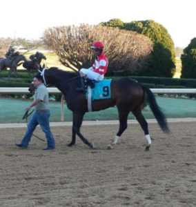 Dazzling Gem at Oaklawn