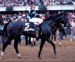 Spectacular Bid