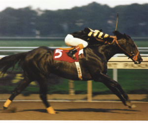 Angel Cordero Jr. aboard Seattle Slew