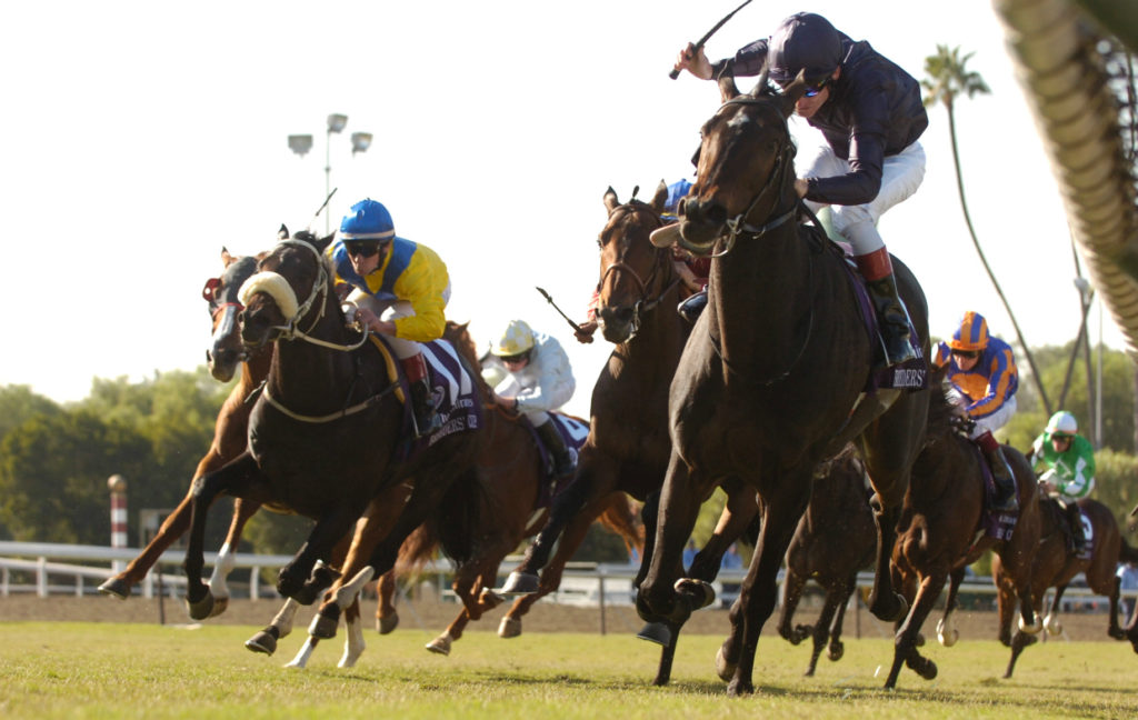 Horses Racing Towards Camera