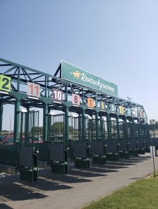 alt="Starting gate at Kentucky Downs"