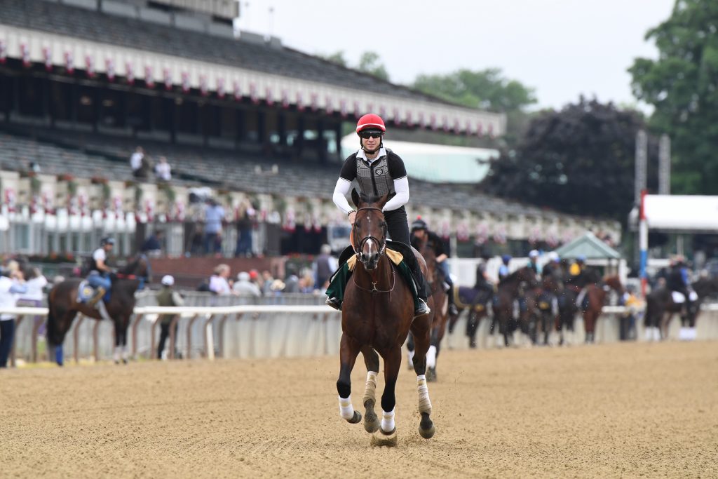 alt="Bolt d'Oro going out for a jog at Belmont Park"