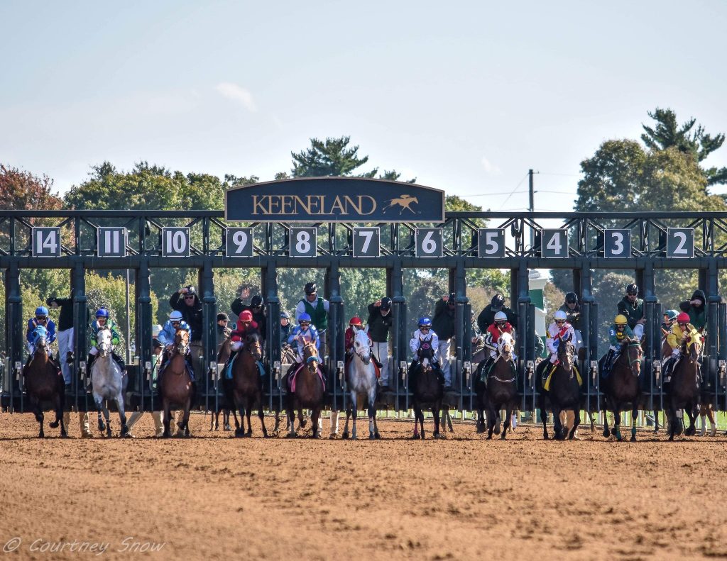 alt="Starting gate and Kenneland"