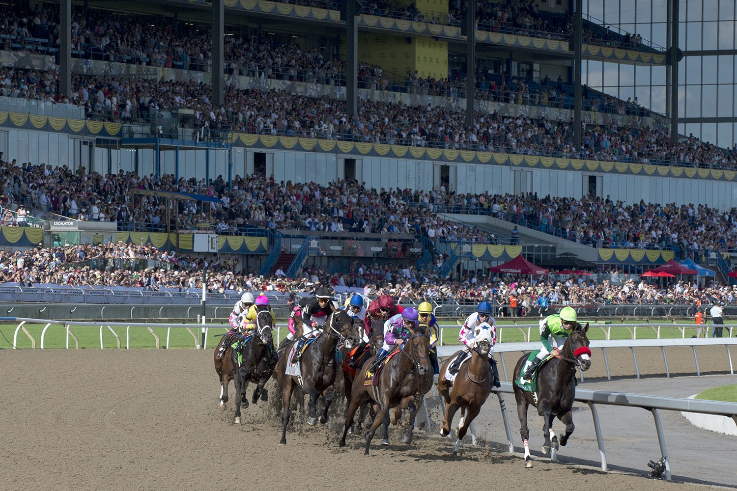 Horse Racing in Canada - Past The Wire