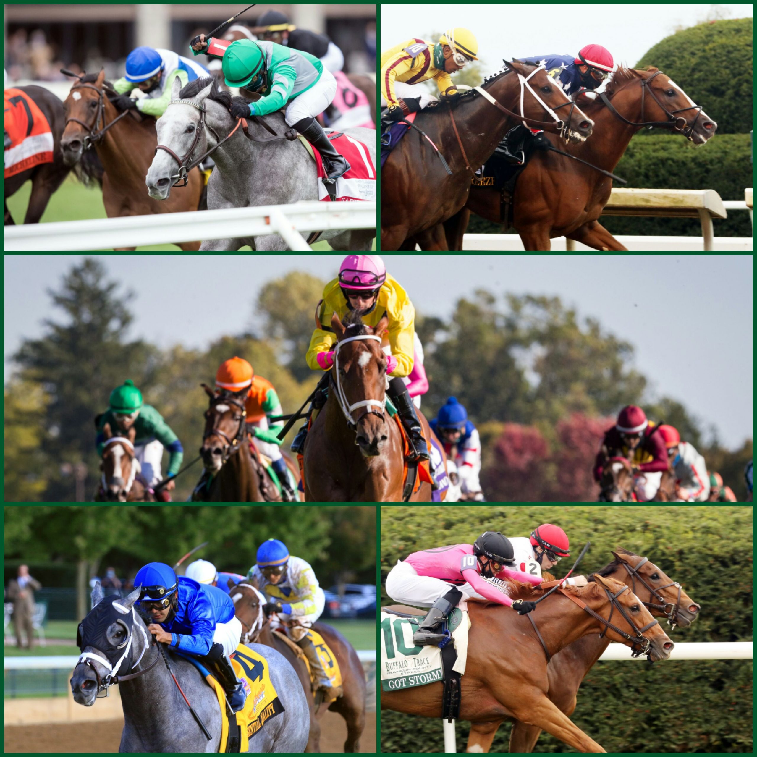 Keeneland Sales Produce 76 Entries in Breeders’ Cup World Championships