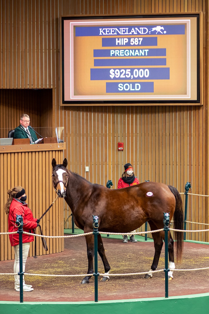 Keeneland January Horses of All Ages Sale Produces Steady Market Past