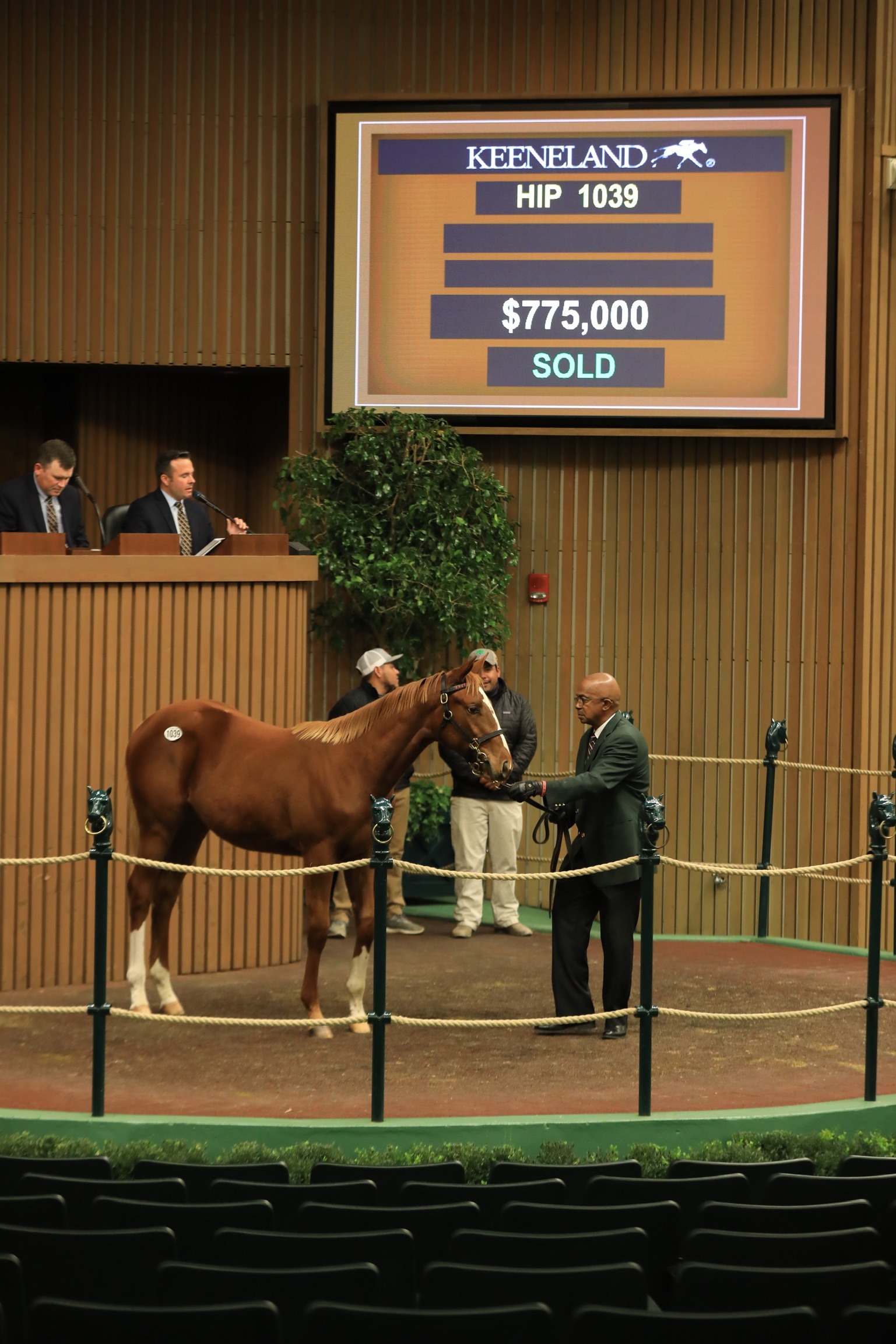 Keeneland January Horses of All Ages Sale Begins Monday Past The Wire