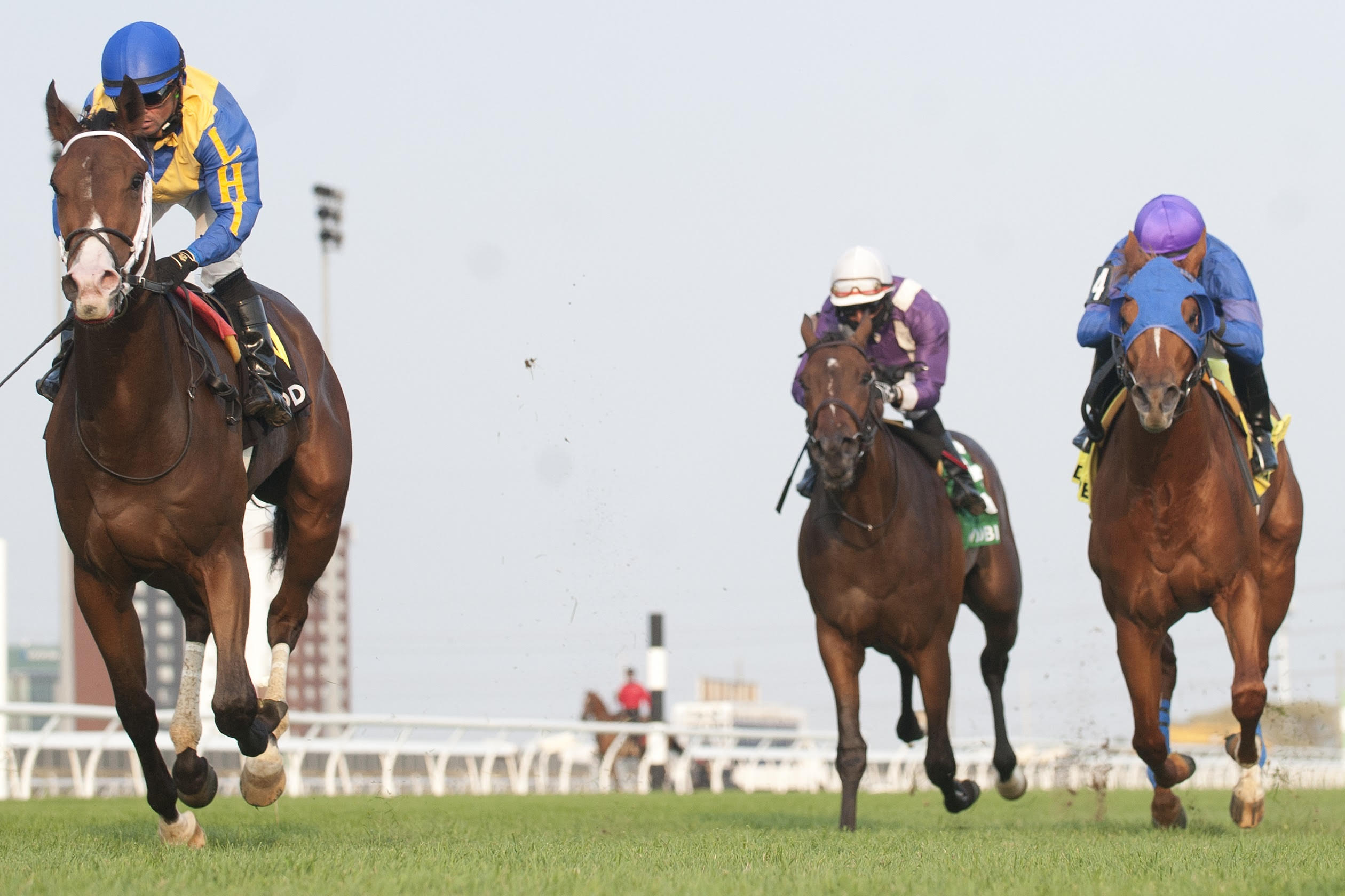 Woodbine Winter Report February 24 2021 Past The Wire