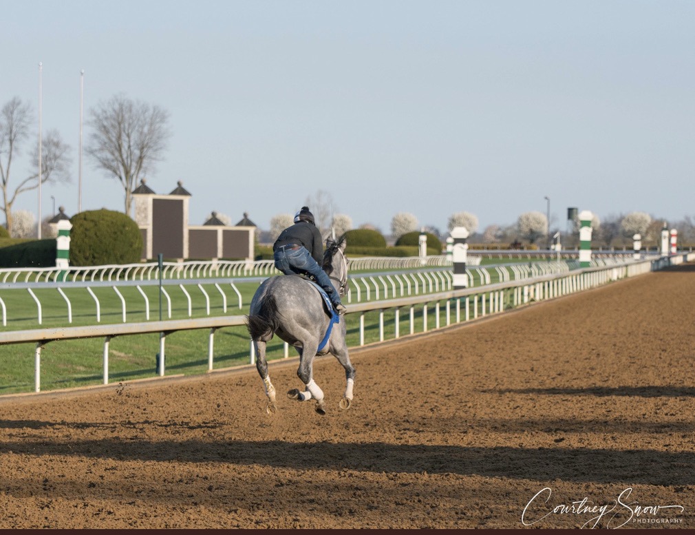 CLUBHOUSE NOTES and new TRACKING TRIPS Horses 4/3/2021 Past The Wire