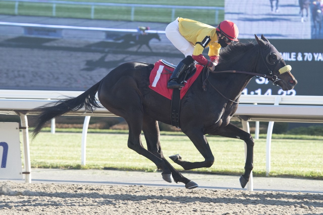 Woodbine Report: April 14, 2021 - Past The Wire