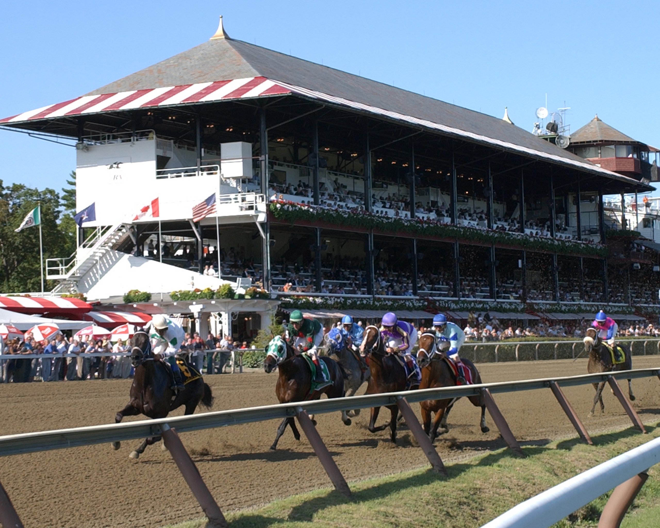 Nyra Talking Horses Saratoga - tdoh38s
