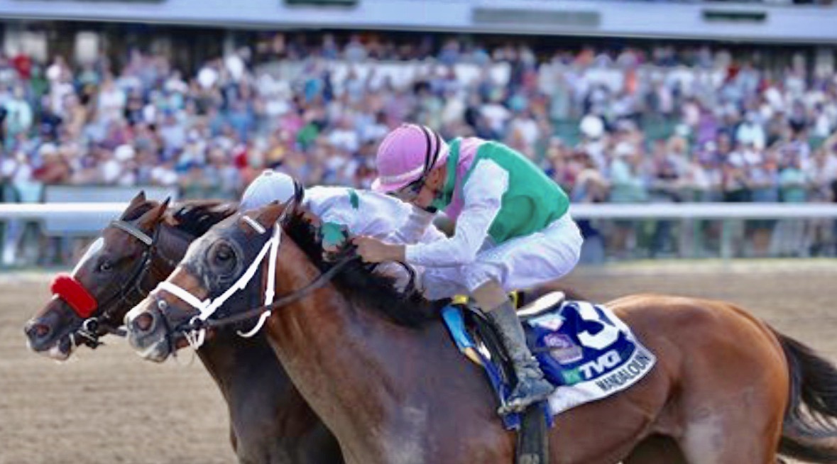 An exciting TVG.com Haskell Stakes as Hot Rod Charlie and Mandaloun