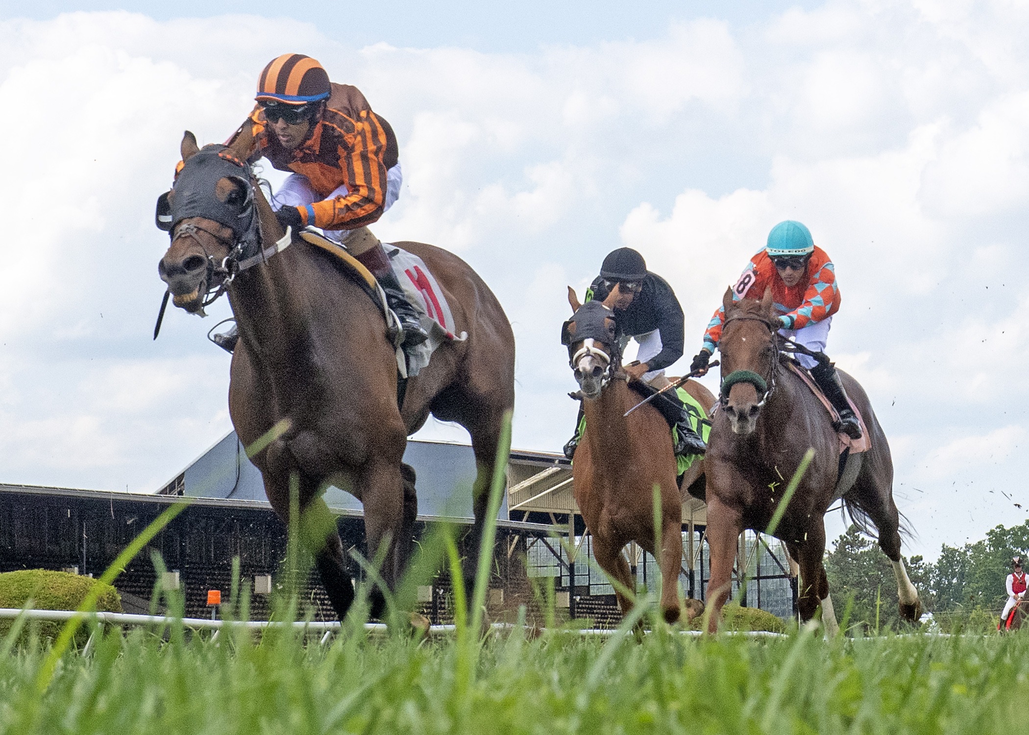 Happy Homecoming For Ellanation And Dark Hollow Farm Past The Wire