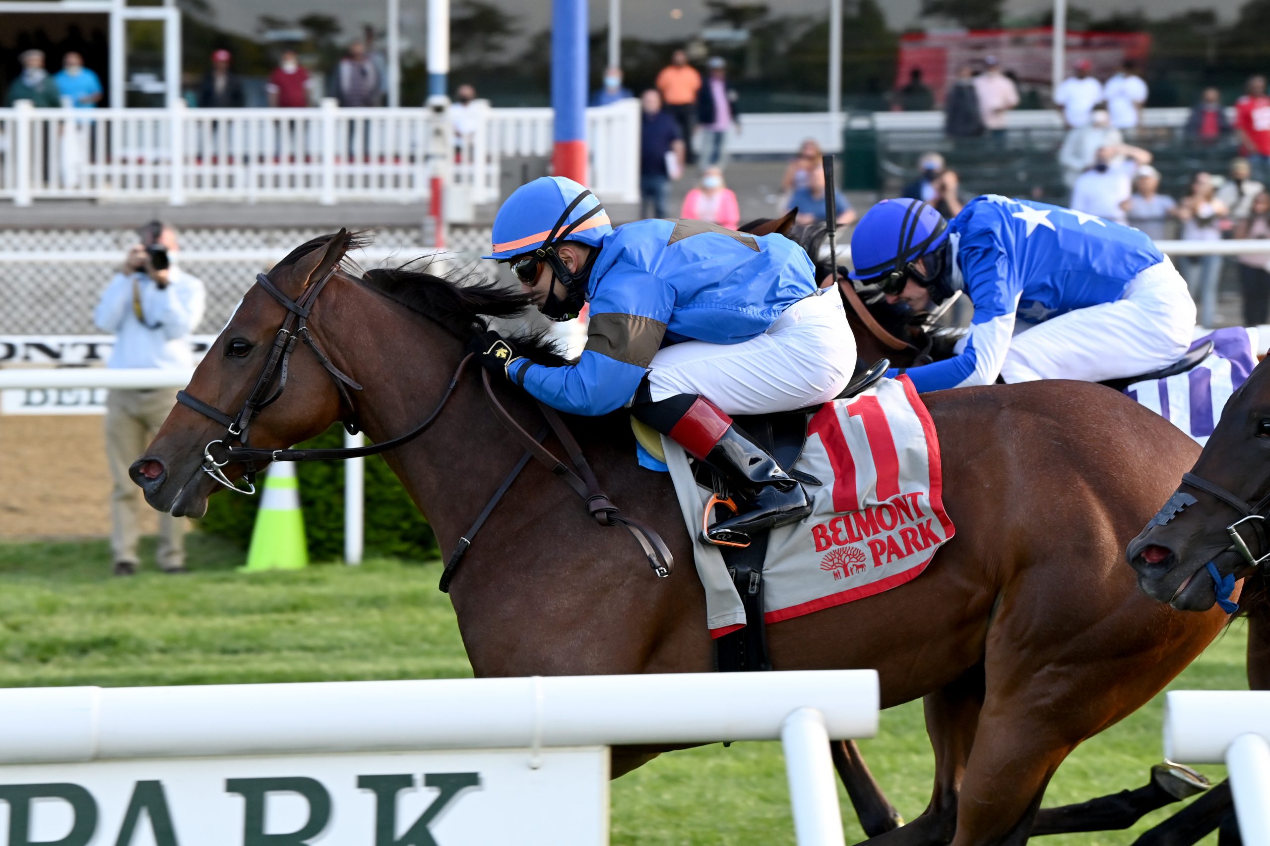 Gradedstakes winner Bye Bye headlines 100K Christiecat Past The Wire