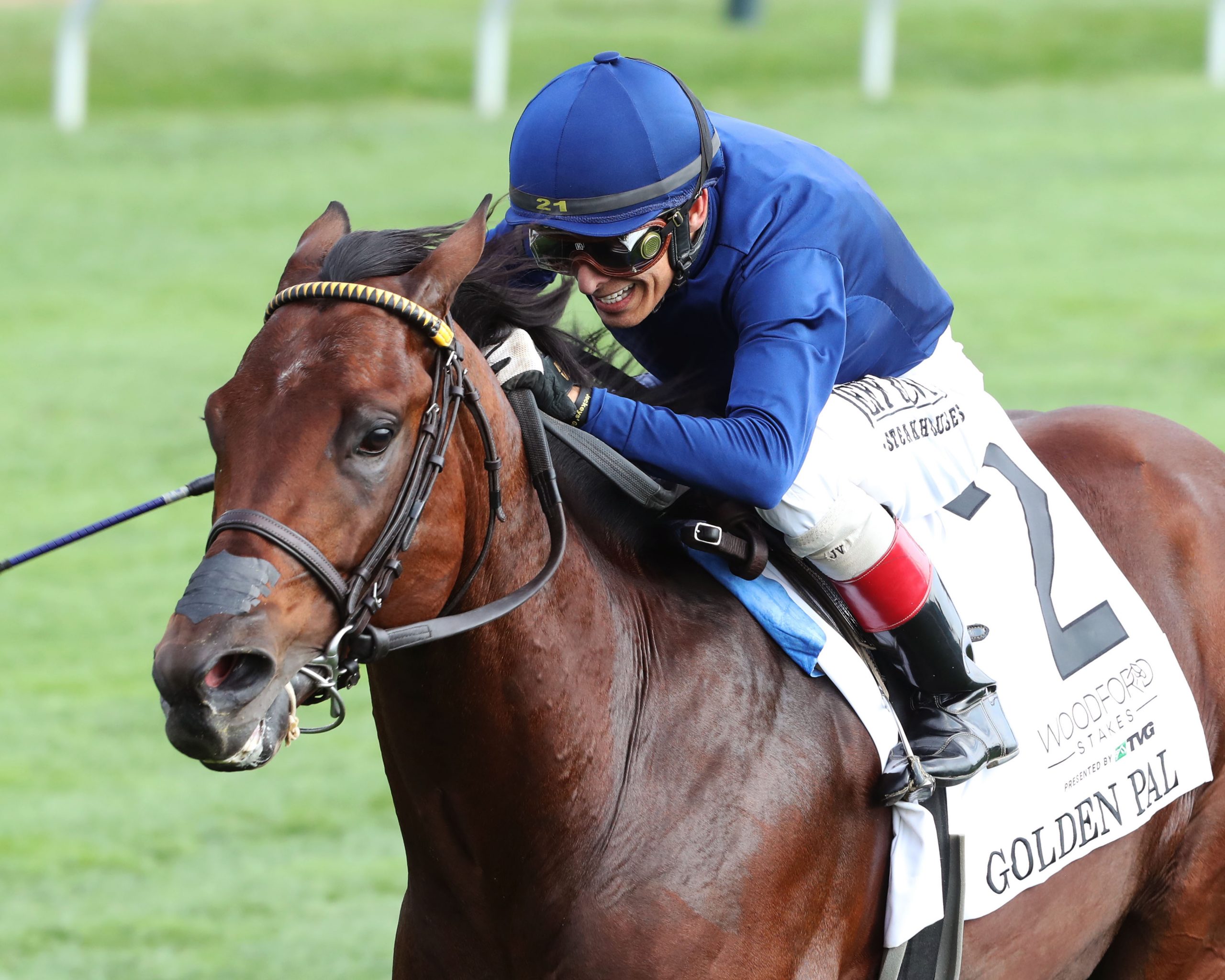 Golden Pal Looks To Defend Title in G2 Woodford