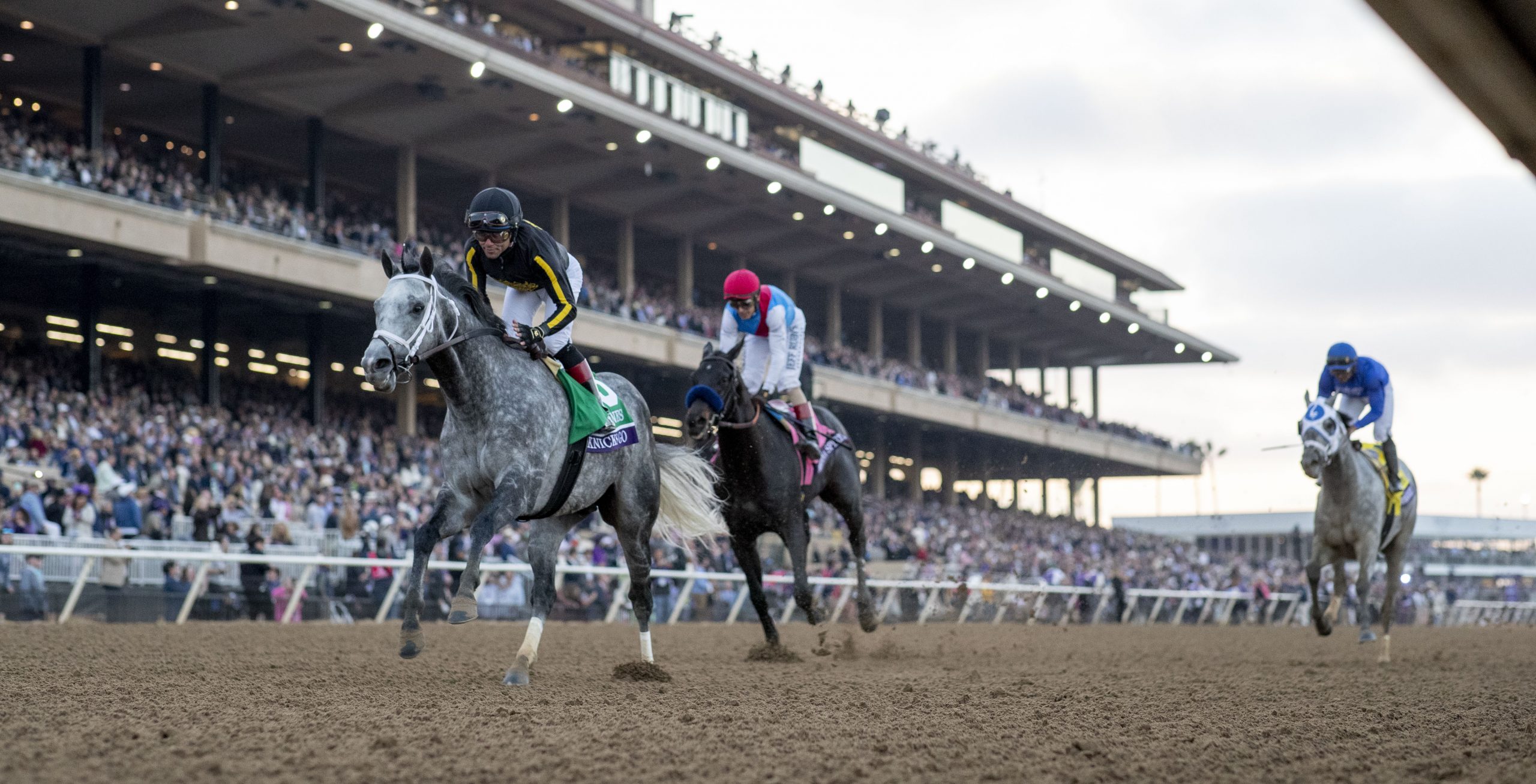 The 2021 Breeders' Cup one week later, The Good, The Bad, and the