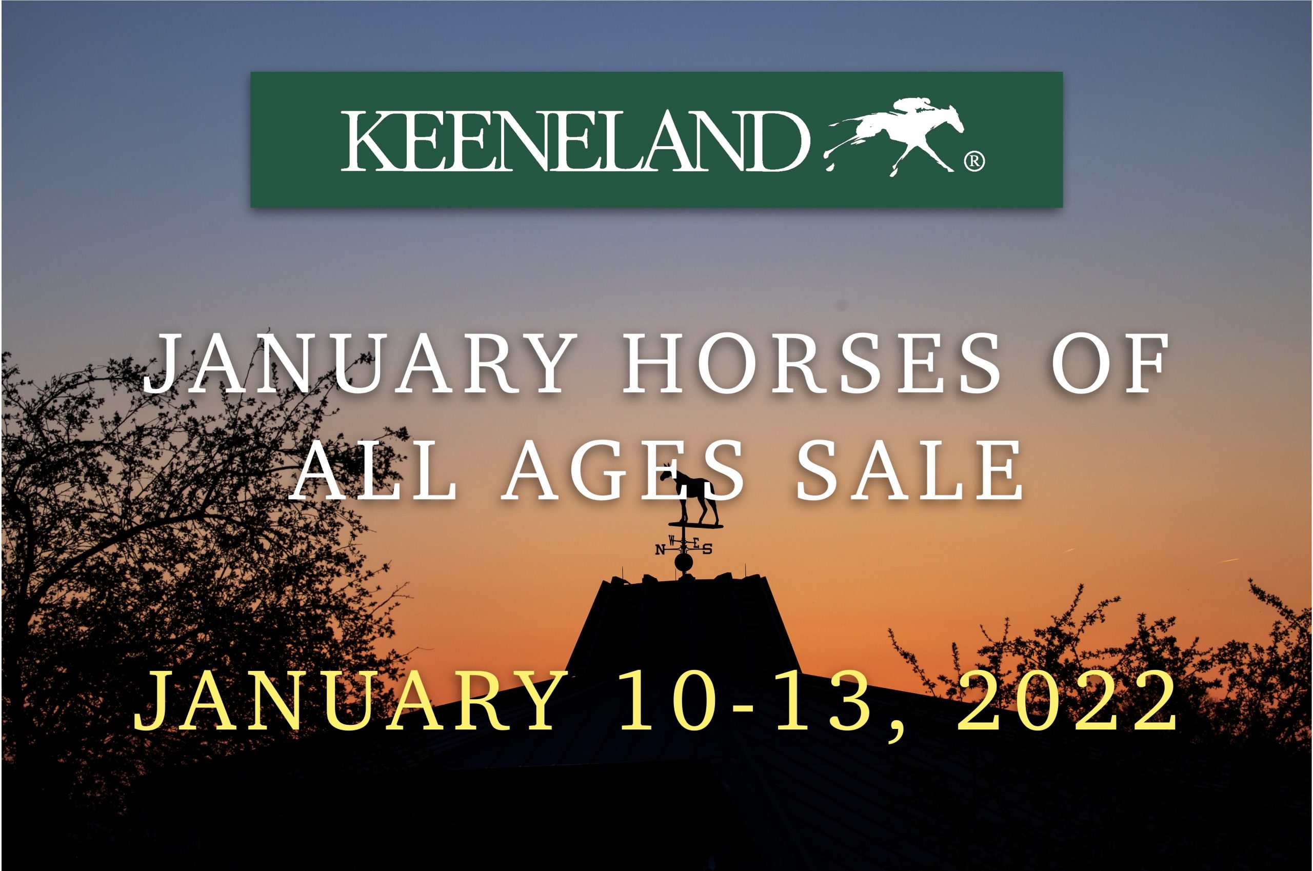 G1 Winner Math Wizard Supplemented to Keeneland Sale Past The Wire