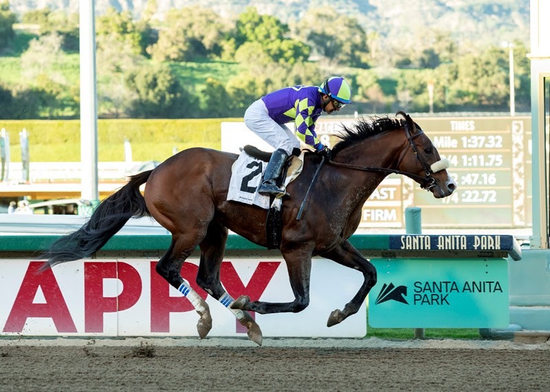 Express Train rolling into Santa Anita Handicap Past The Wire