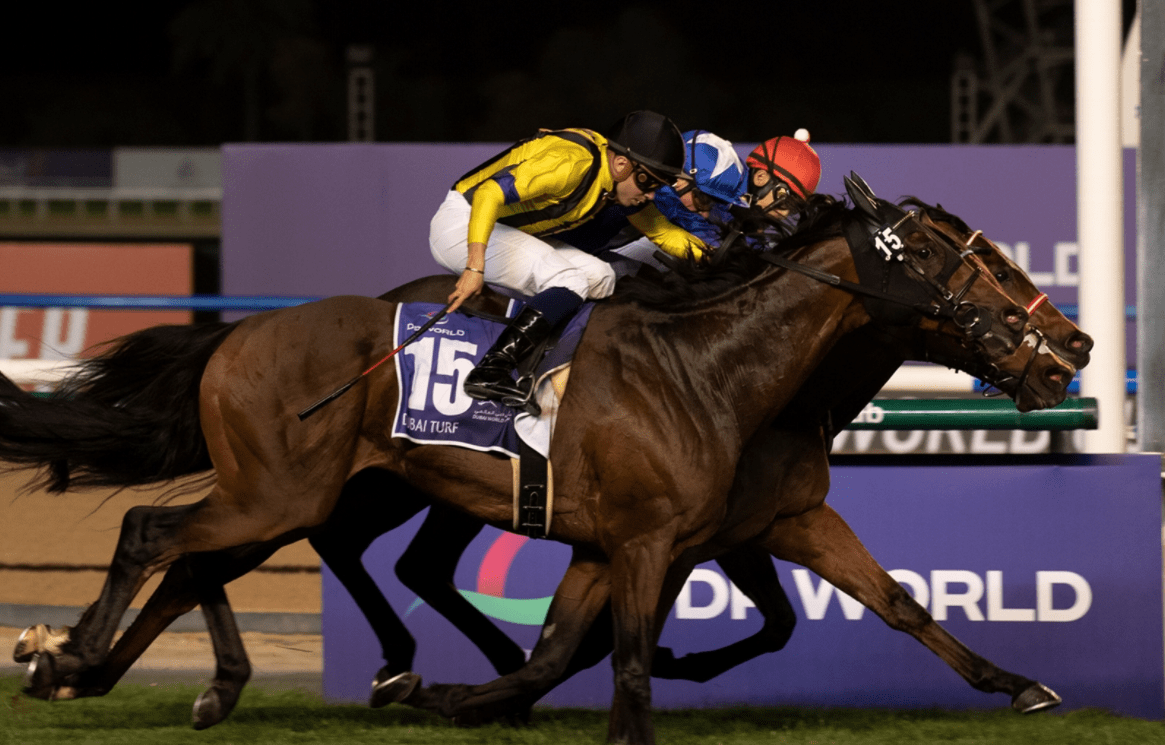 Thrilling Dubai Turf Ends In DeadHeat Past The Wire