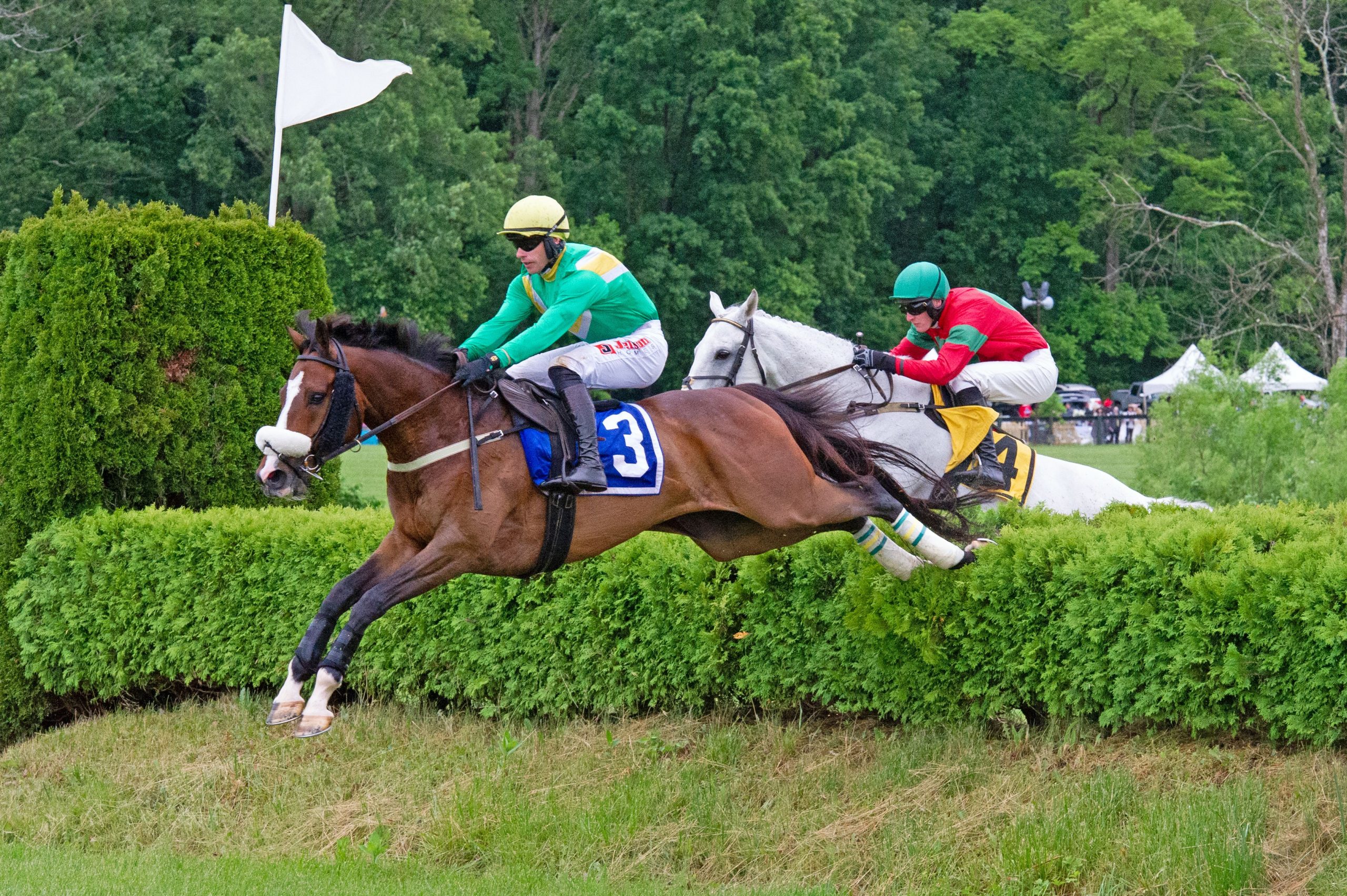 Virginia Gold Cup Returns on May 7 Past The Wire