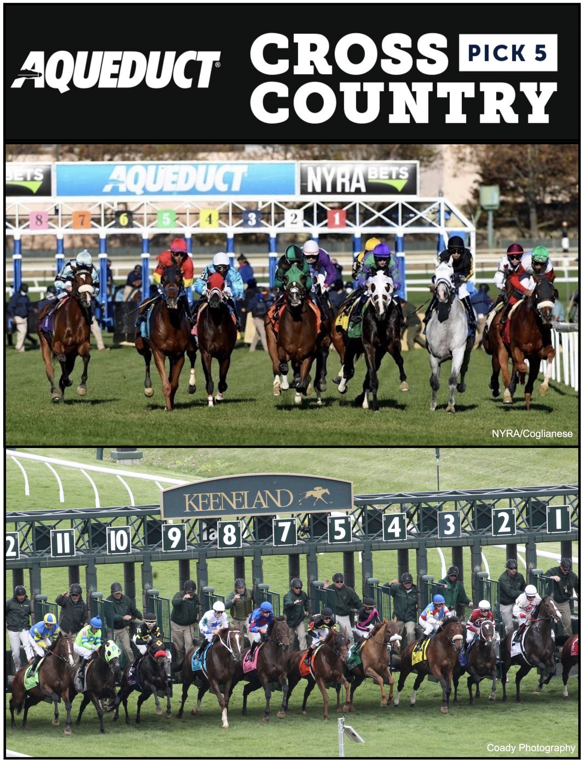 Aqueduct Racetrack Entries And Results 41 - z9s1gm8