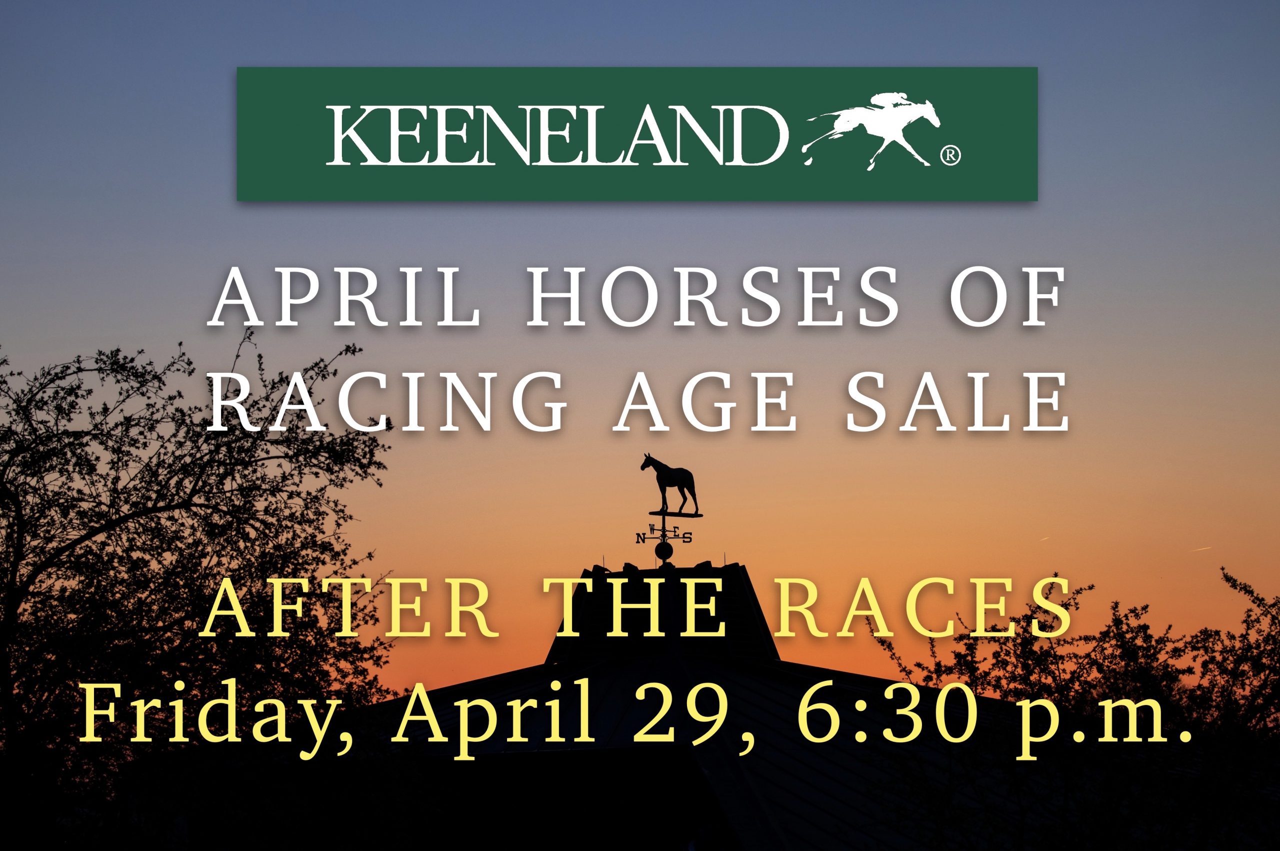 Keeneland April Horses of Racing Age Sale FRIDAY Past The Wire