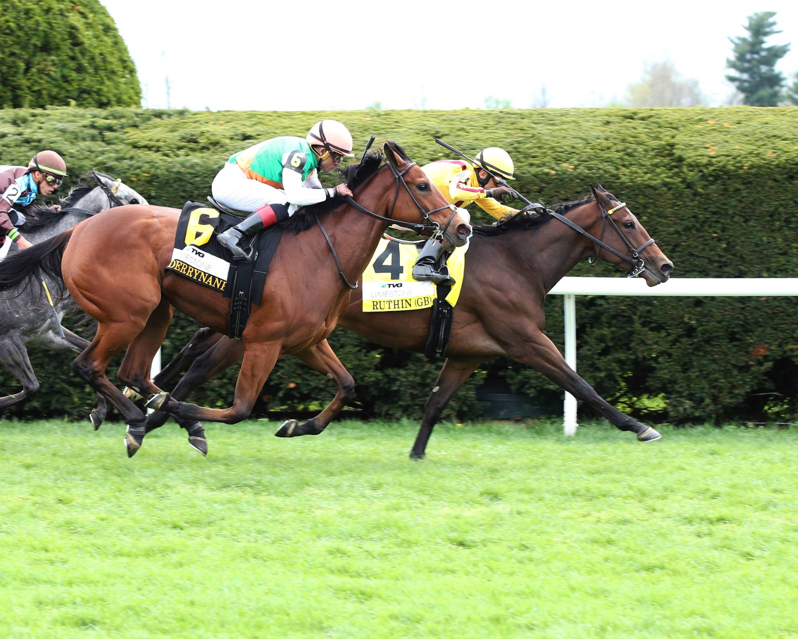 Ruthin GB Wires Under Pressure For TVG Limestone Victory Past The Wire
