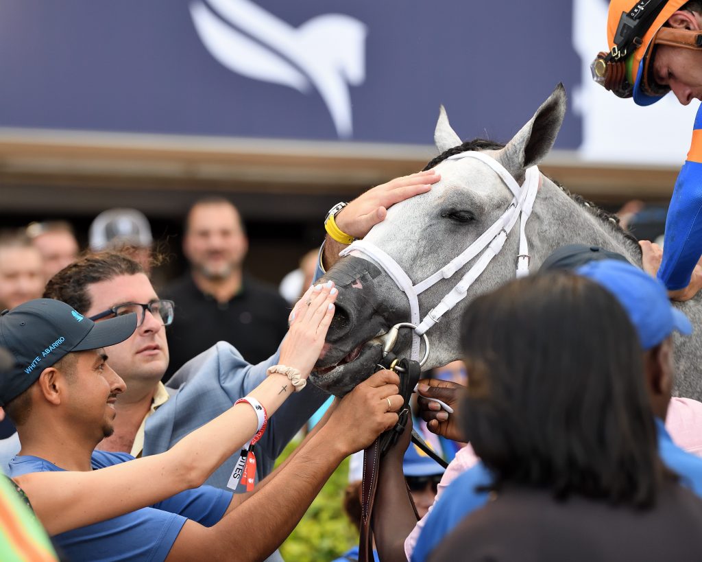 White Abarrio at Florida Derby