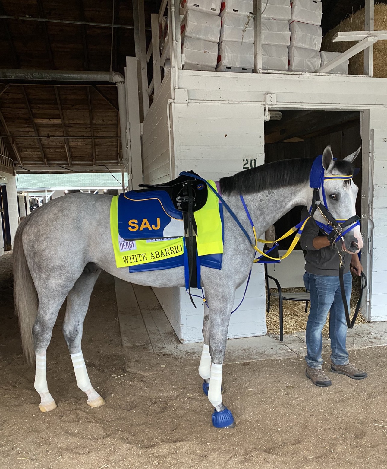 A trainers take on the Kentucky Derby Past The Wire