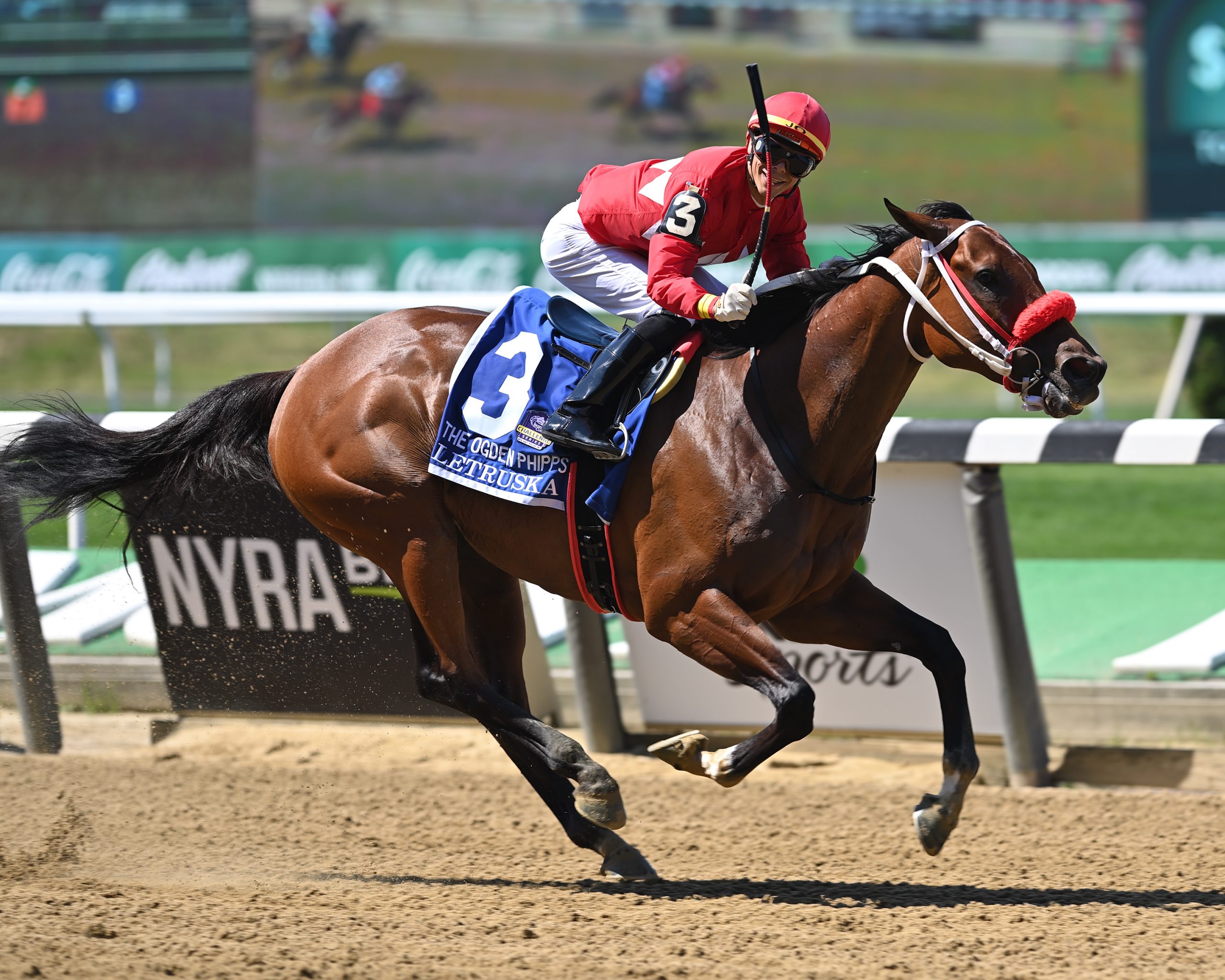 Champions Letruska, Malathaat clash in G1 Ogden Phipps - Past The Wire