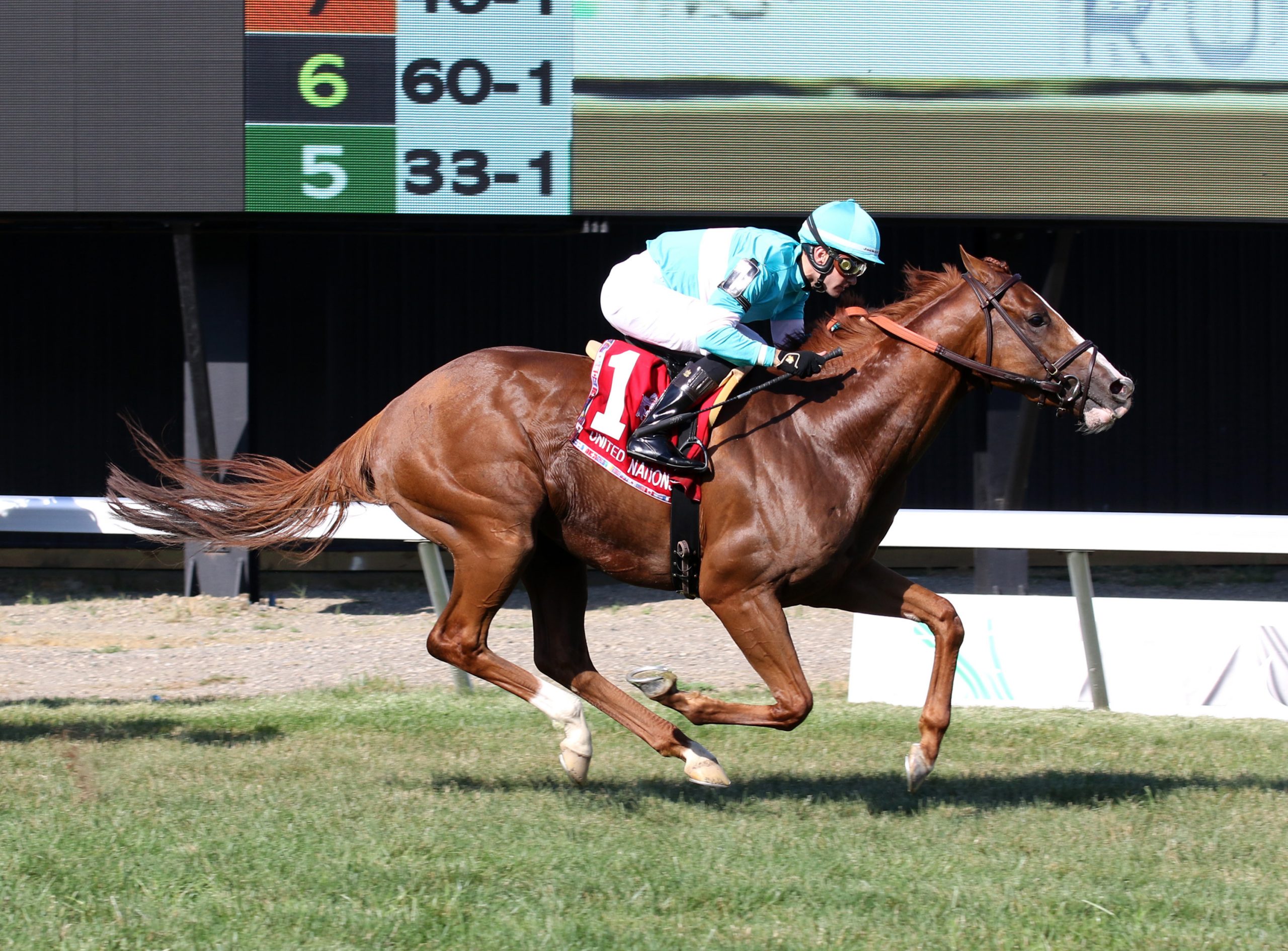 Adhamo Adamantly Victorious in G1 United Nations - Vimarsana News