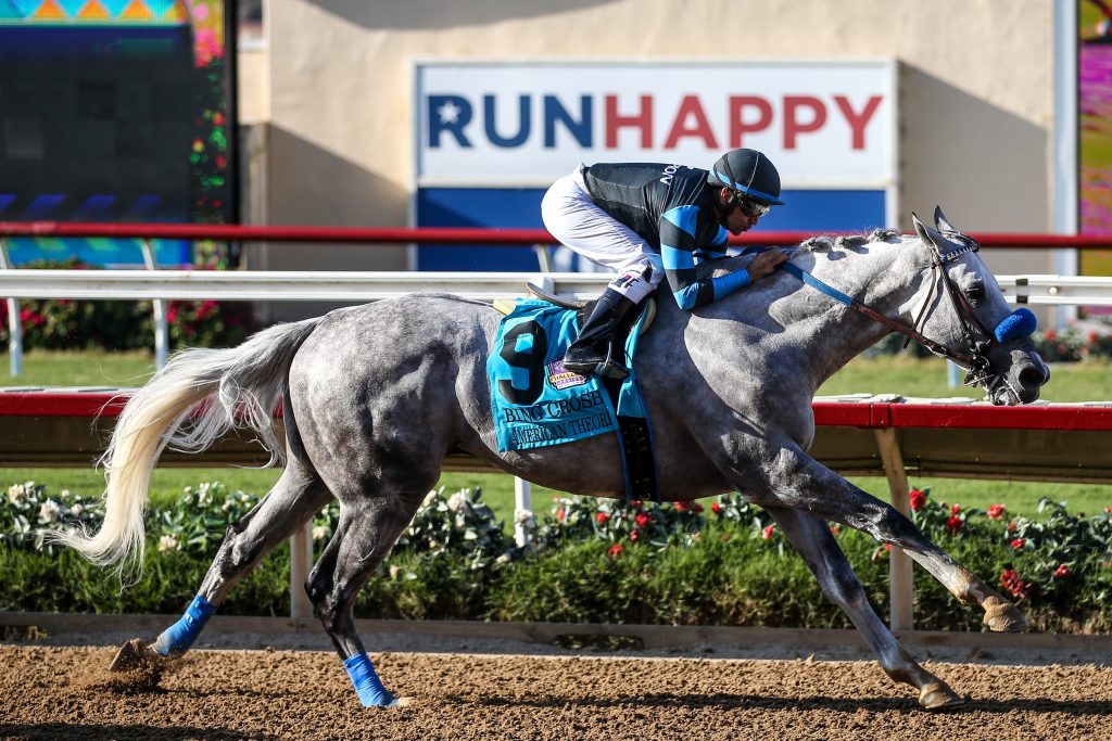 American Theorum wins and he's in the Breeders' Cup