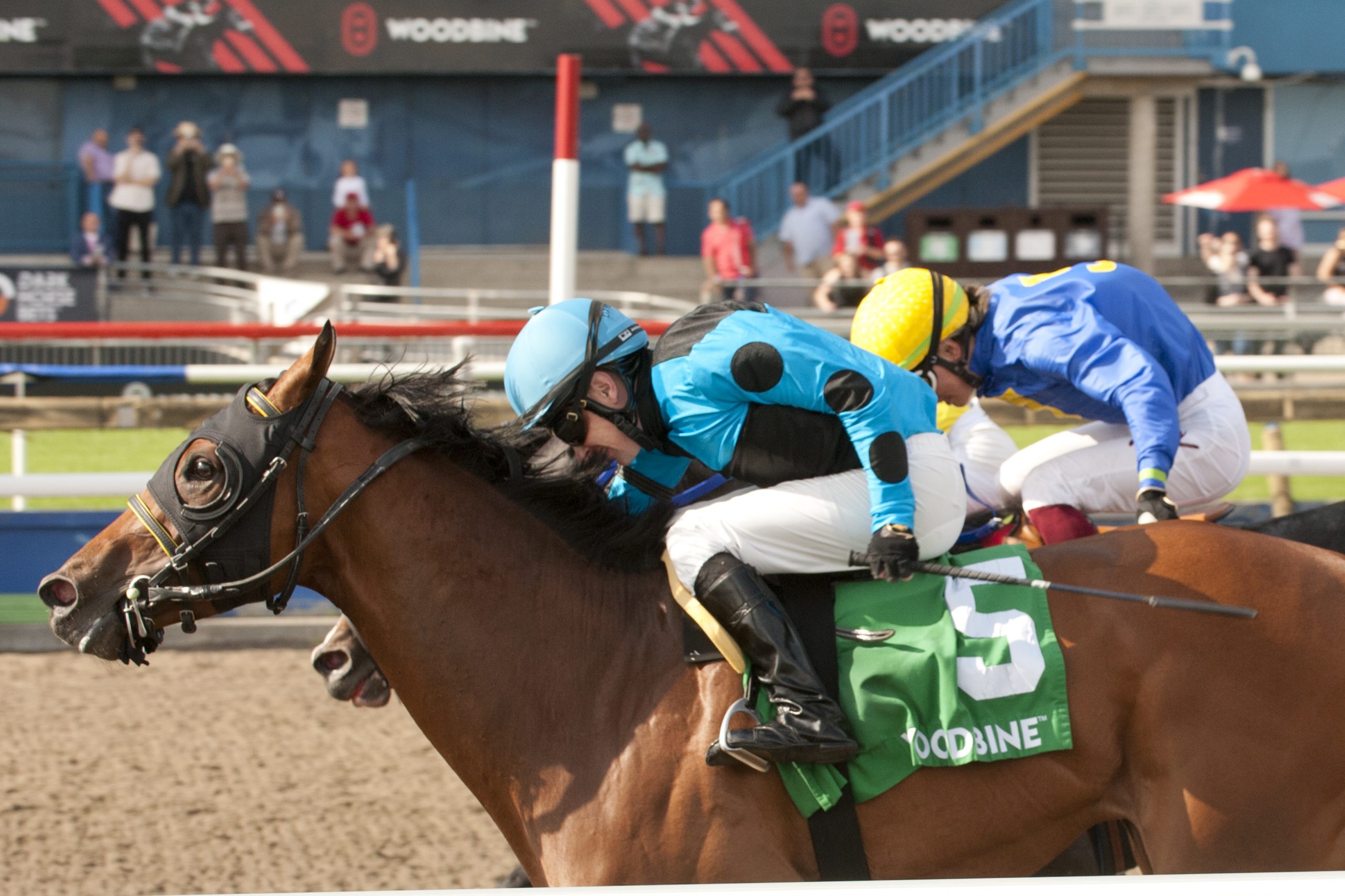 Queen's Plate Breeder Profile The Minkster Past The Wire