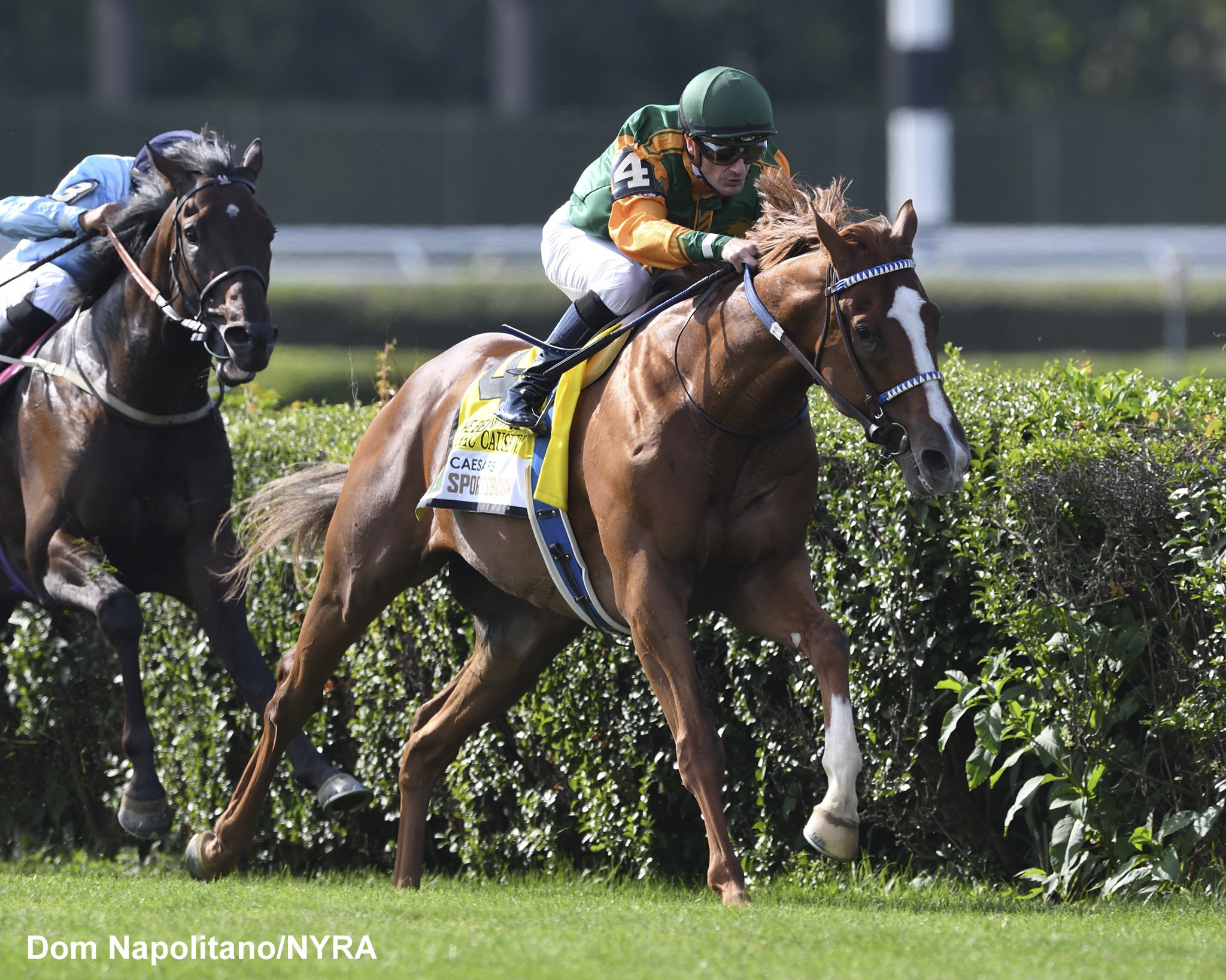 Classic Causeway and Nations Pride Meet Again in Jockey Club Derby - Past  The Wire