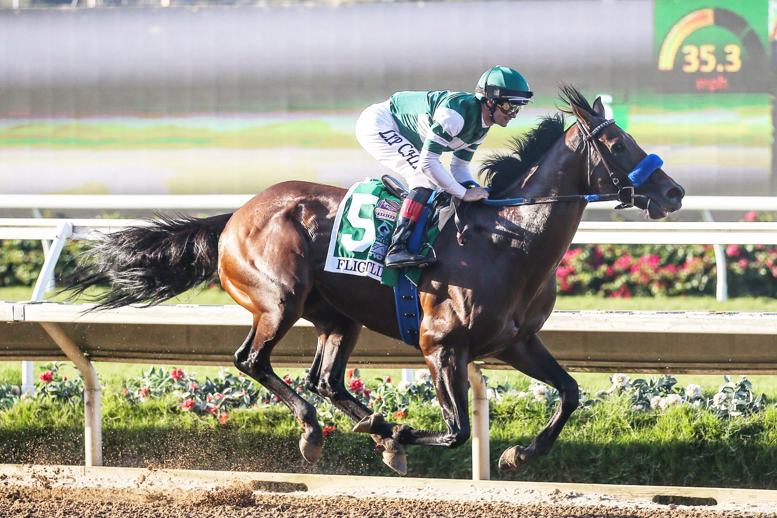 Flightline Spectacular in TVG Pacific Classic Past The Wire