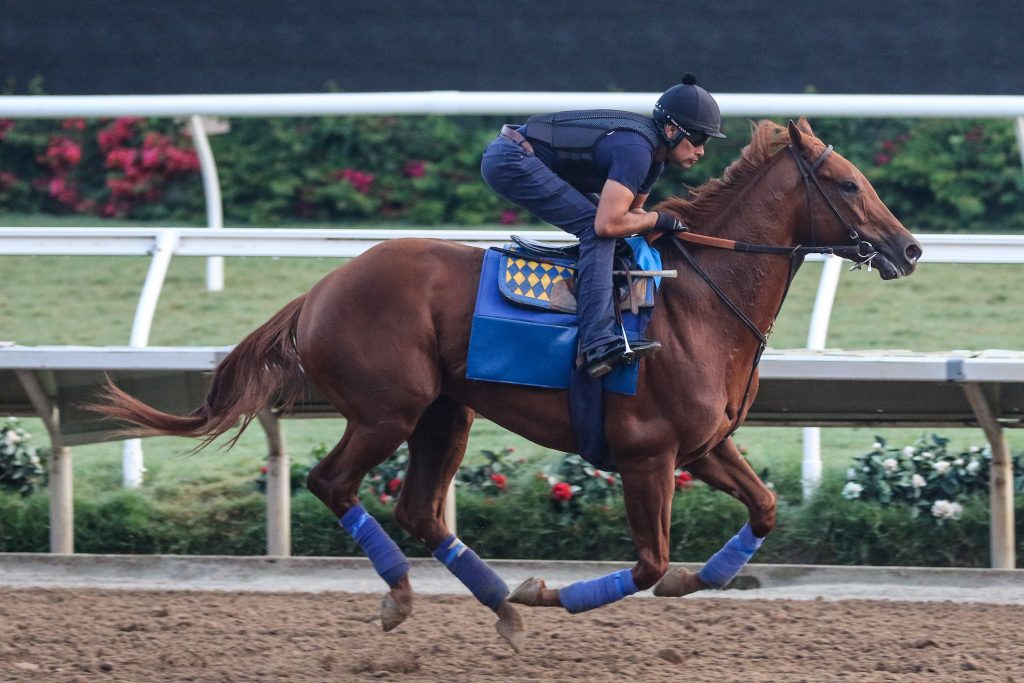 Taiba training for the Pennsylvania Derby, Ernie Belmonte, Past The Wire