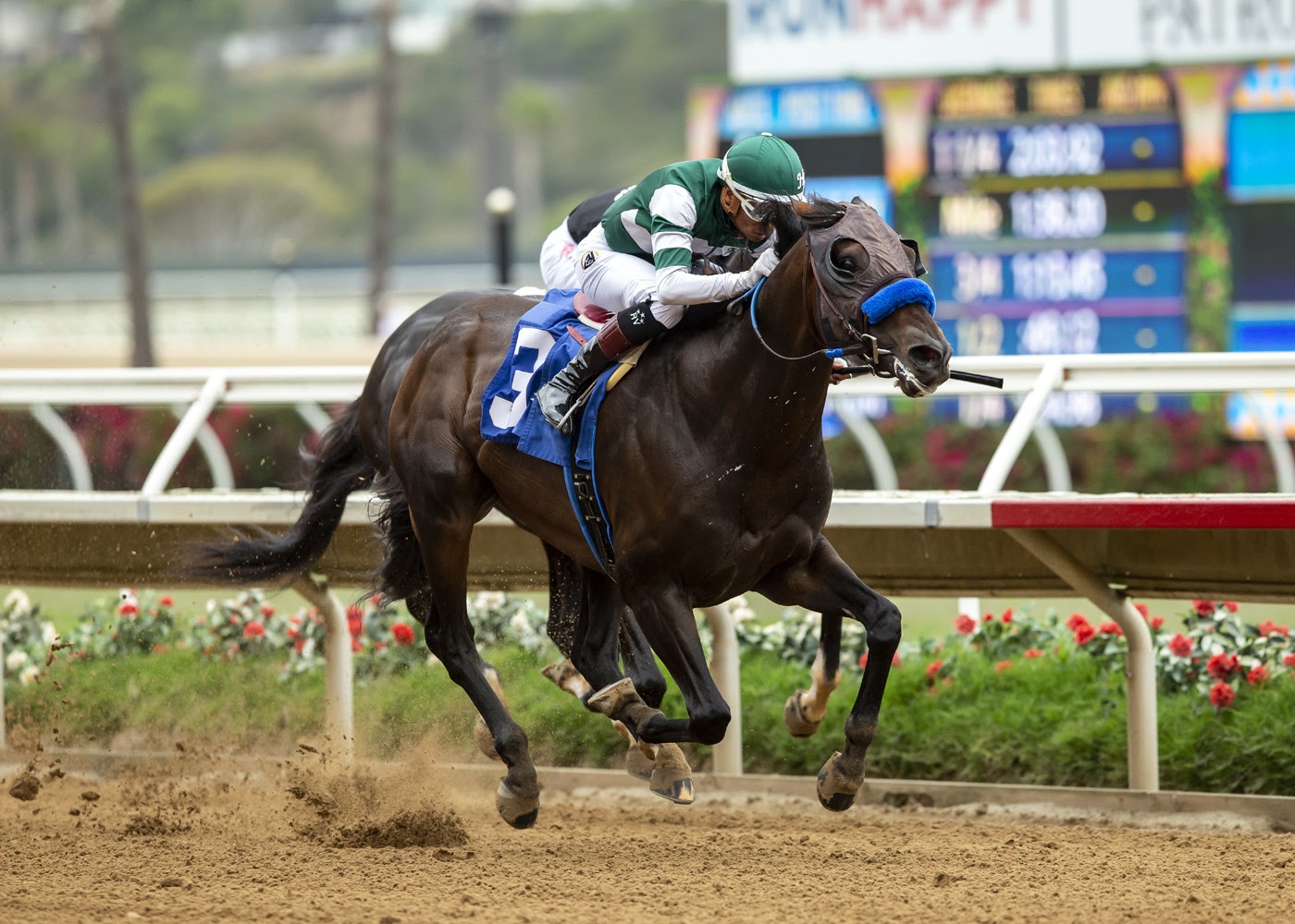 Heywoods Beach Horse To Beat in Marathon G3 Tokyo City Cup AGADIRGROUP