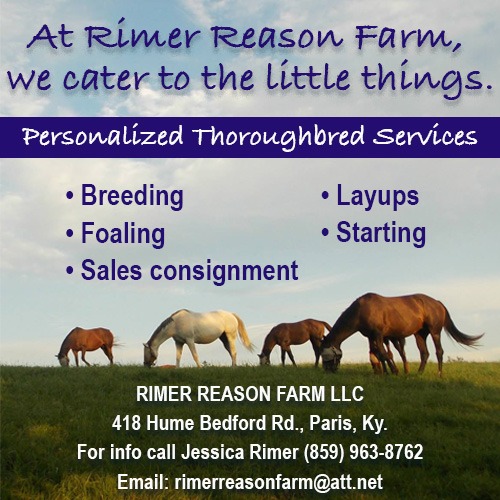 RF: Rimer Reason Square (ad)
