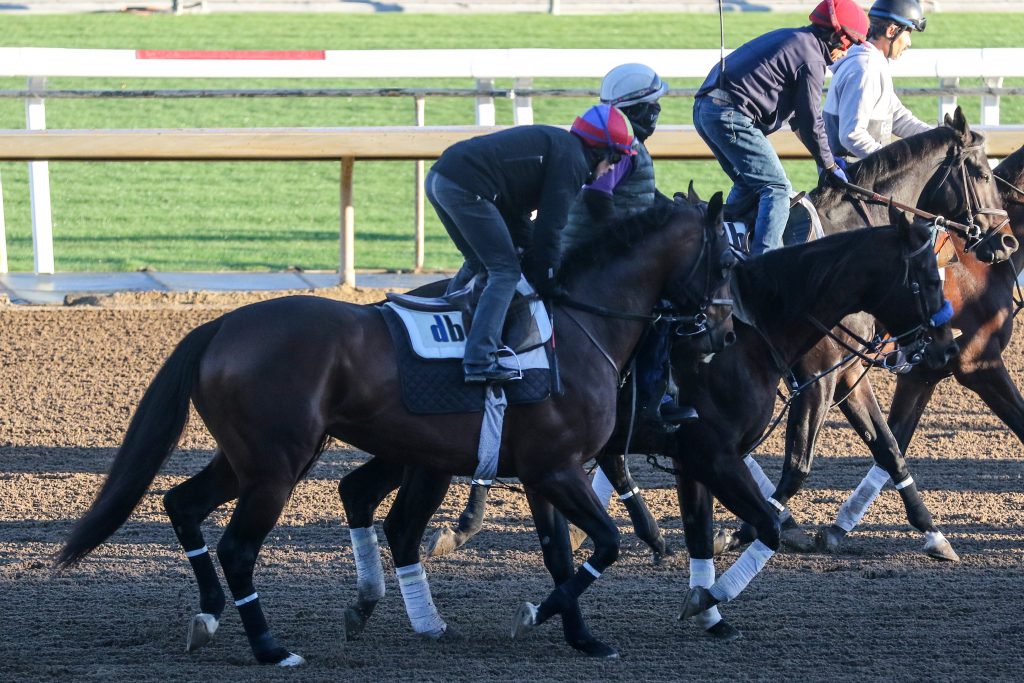 Frankie Dettori prepares to work Hit The Road at Santa Anita, Ernie Belmonte, Past The Wire