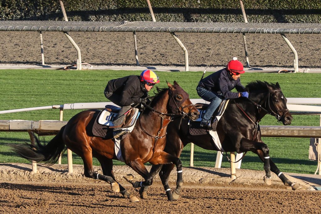 Hit The Road working under Frankie Dettori at Santa Anita, Ernie Belmonte