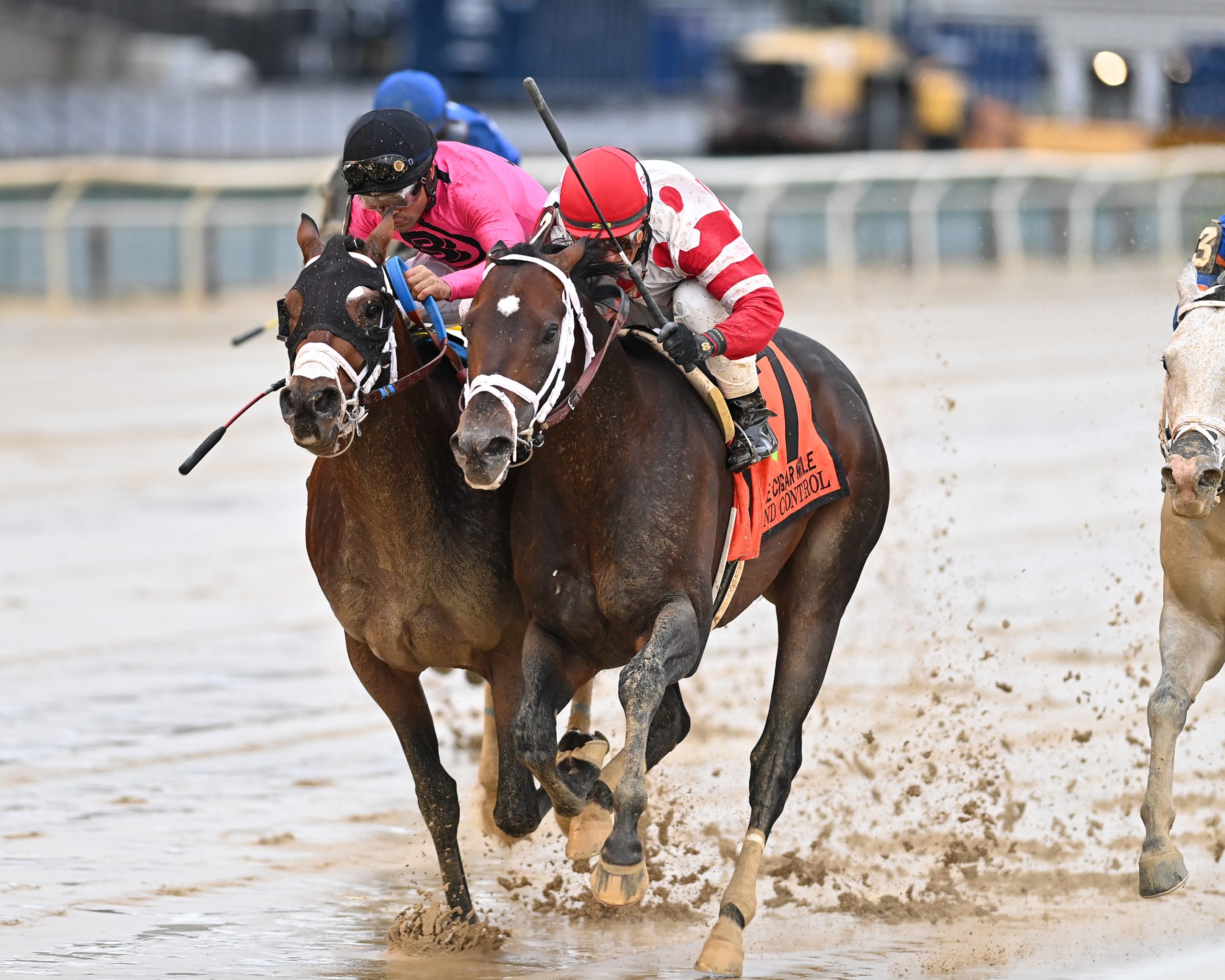 Now Retired After G1 Cigar Mile Score, Mind Control Will Be Missed by