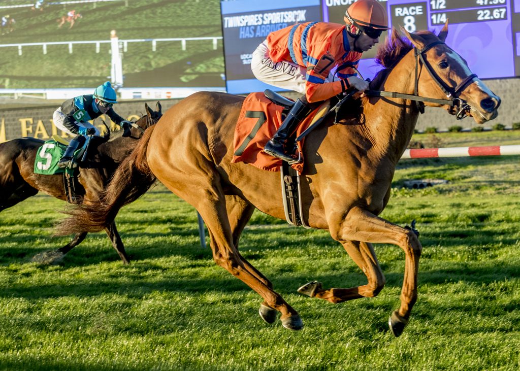 1/14/2023 - Jareth Loveberry aboard Oeuvre holds off Charlie T to win the 8th running of the Nelson Menard Memorial Stakes at Fair Grounds.  Hodges Photography / Lou Hodges, Jr.