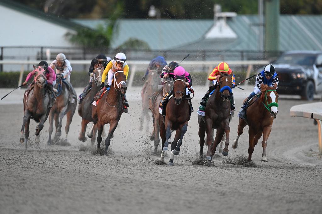 Art Collector on the lead winning the 2023 Pegasus World Cup Invitational. (Jetta Vaugh)