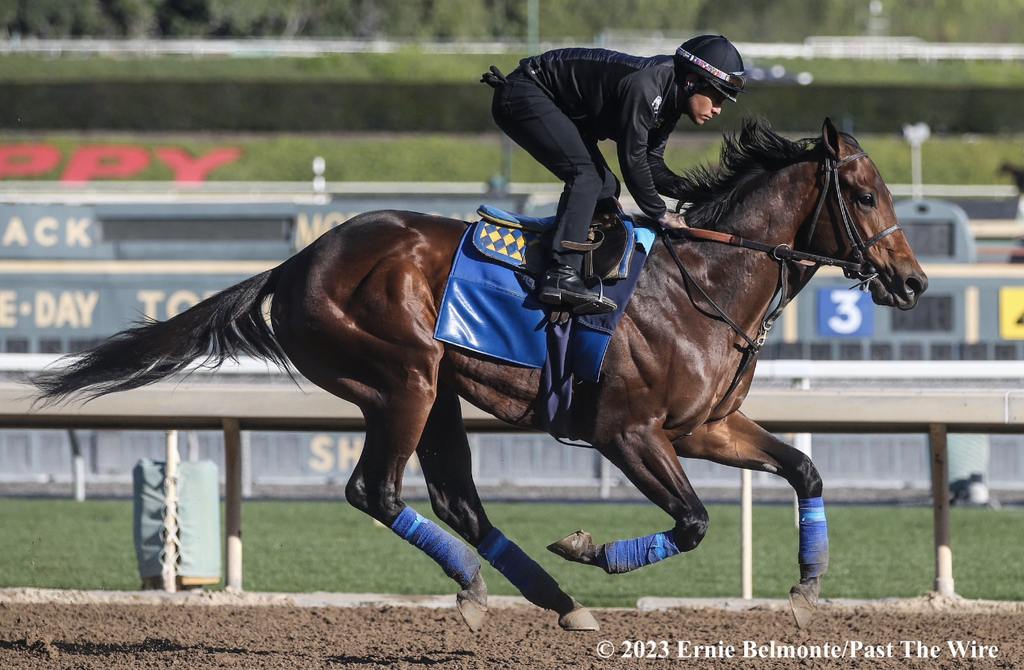Arabian Knight training for The Southwest at his Santa Anita home base, Ernie Belmonte, Pas The Wire