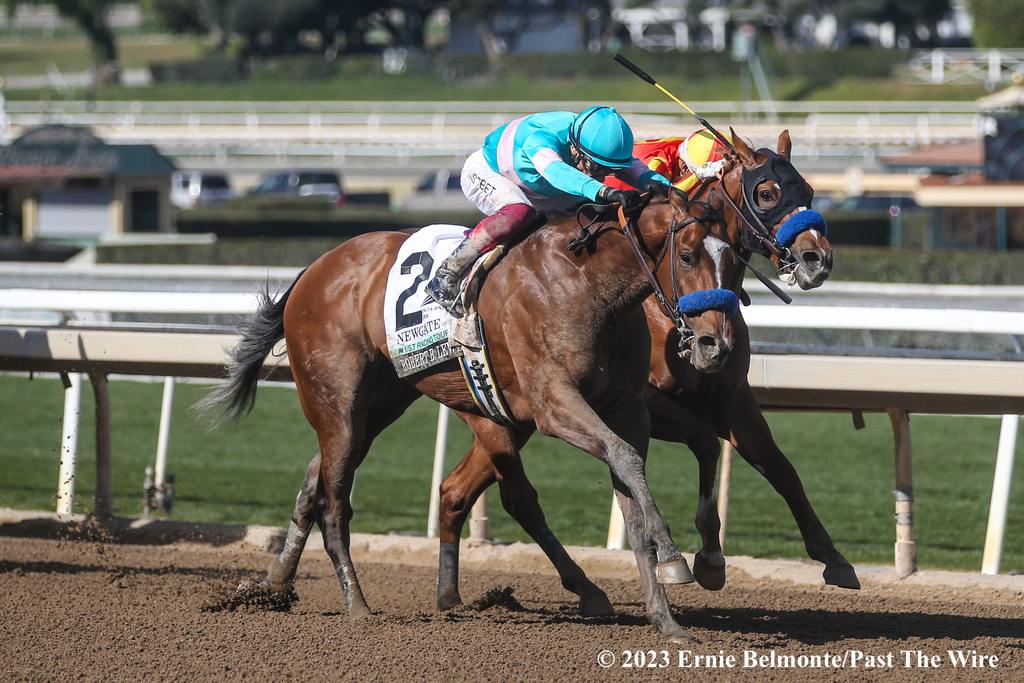 Frankie Dettori wins the Robert B Lewis aboard Newgate, Ernie Belmonte, Past The Wire