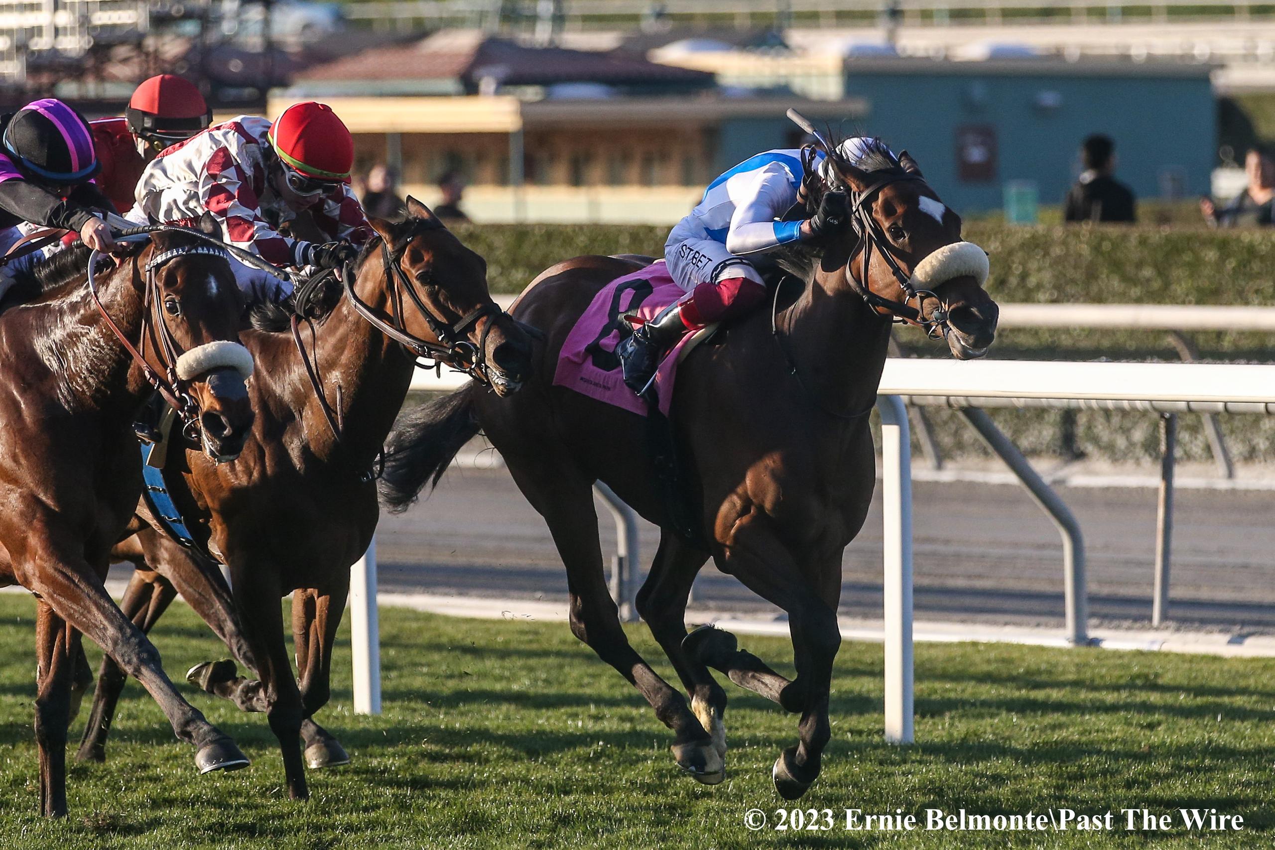 The Ins and Outs of Exacta Betting in Horse Racing - Past The Wire