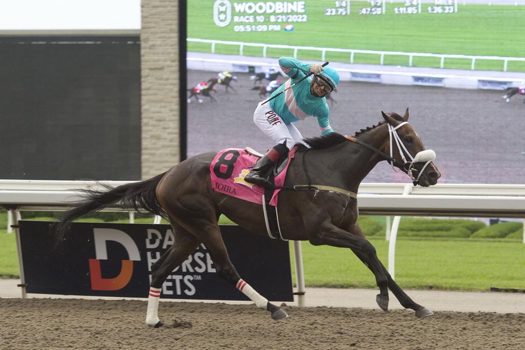 Moira and jockey Rafael Hernandez winning the 163rd Queen's Plate on August 21, 2022 at Woodbine (Michael Burns Photo)
