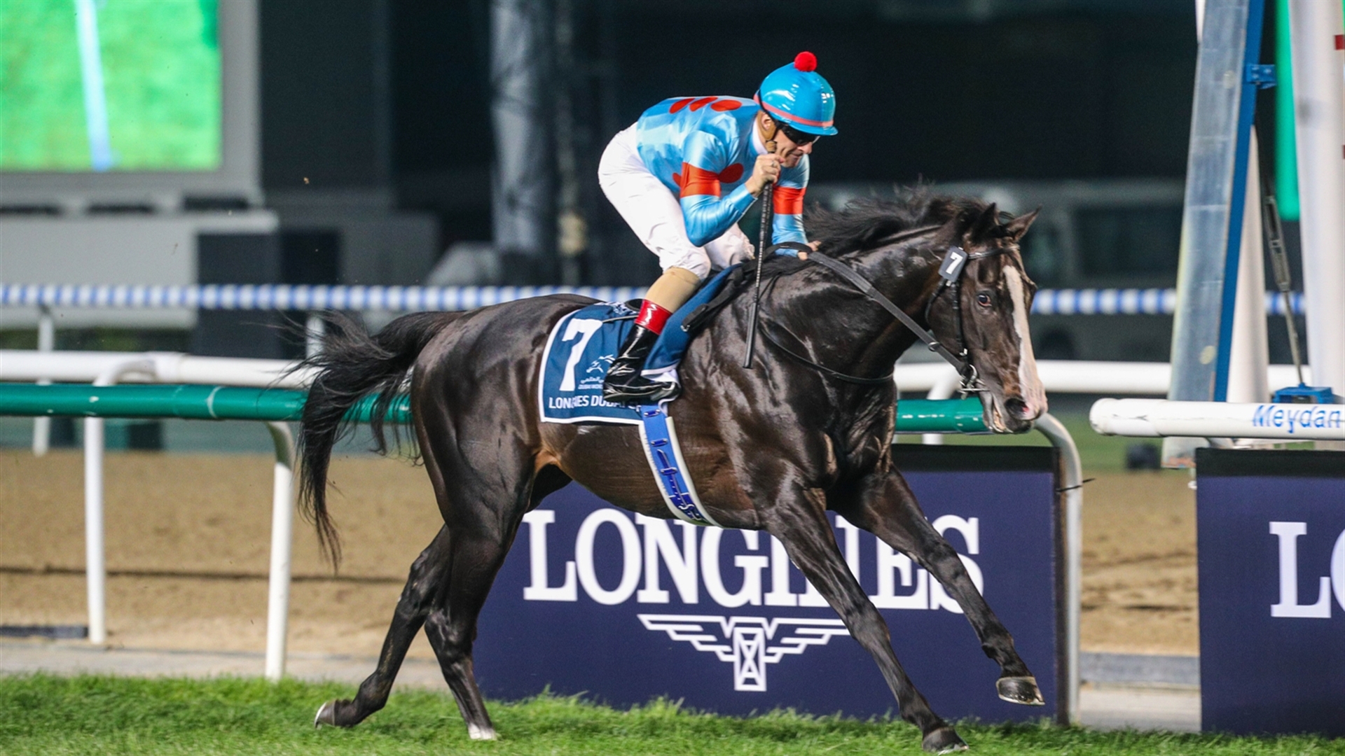 Equinox Stamps Himself as a Turf Titan in Dubai Sheema
